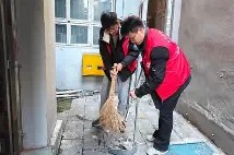 爱游戏全站 -U/劐U牛H]鞤8帚的简单介绍